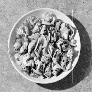 Steam Chicken Garlic Salad