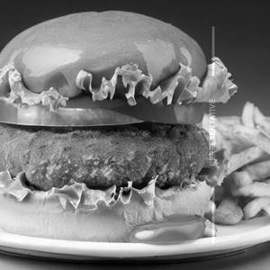 Mexican Burger
