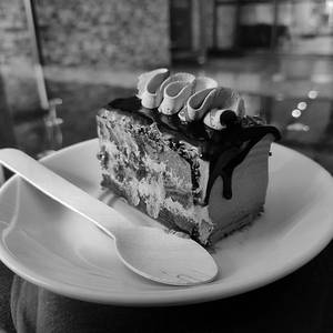 Swiss Chocolate Pastry