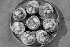 Spicy Paneer Rolls