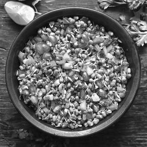 Mix Sprouts Salad
