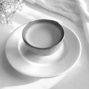 Kheer Dahi 100gm