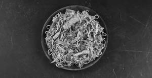 Chicken Noodles