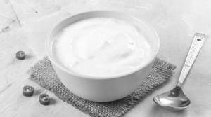 Plain Curd
