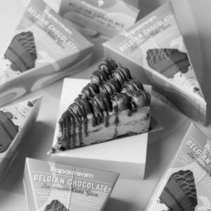 Belgian Chocolate Ice Cream Cake Slice