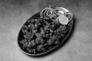 Gobi 65