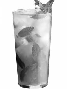 Watermelon Mojito