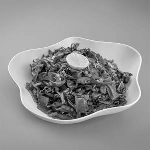 Hofan Noodle With Chicken