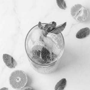 Citrus Mojito
