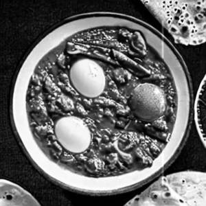 Egg Masala