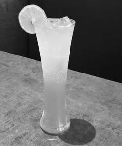 The Ice Lander