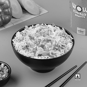 Chicken Fried Rice Regular