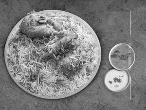 Chicken Hyderabadi Biryani