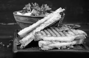 Cheese sandwich