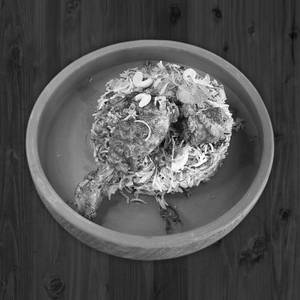 Chicken Hyderabadi