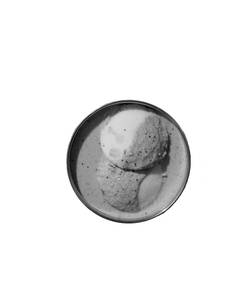 Veena Stores Dip Idli Chutney