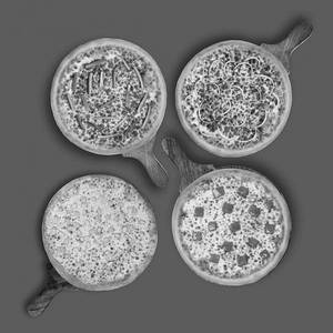 Four Pizza Combo