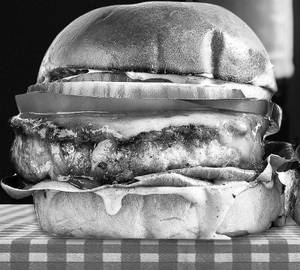 Chicken burger non veg