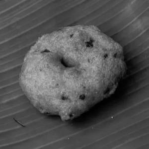 Vada