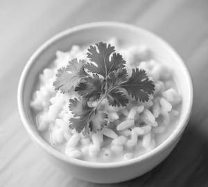 Curd rice