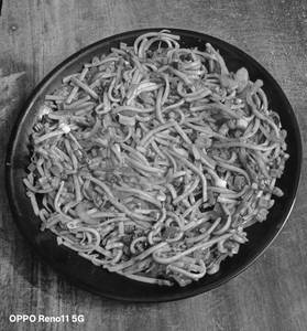 Hakka Noodles