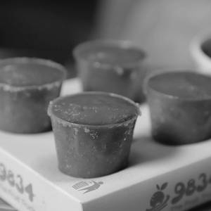 Falsa Shots (4 Shots)