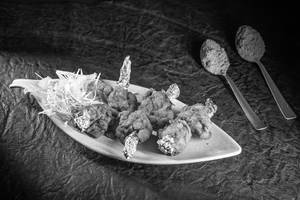 Domestic Chicken