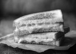 Cheese Sandwich
