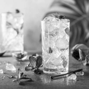 Vanilla Mojito