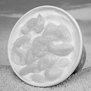 Sitaphal Naturals Shake