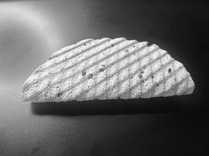 Roasted Papad