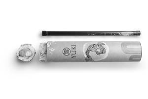 Crunchy Salmon Maki 8Pc (Push Pop)