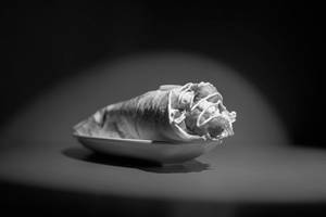 Cheesy Crispy Chicken Wrap