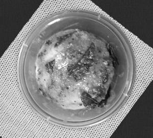 Podi idli [2 pieces]