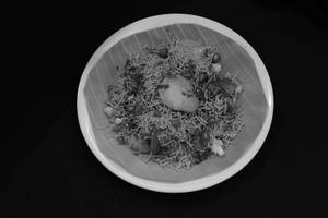 Sev Poori