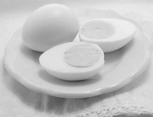 Egg