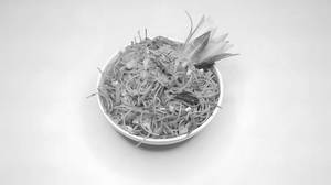 Mixed schezwan noodles