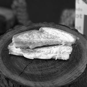 Cheese Sandwich