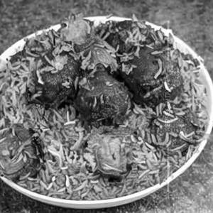 Mutton Biriyani