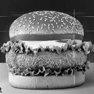 Chicken Cheese Burger