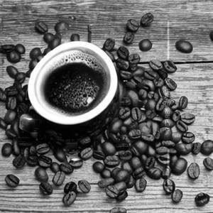 International Single Origin Coffee (Ethiopia Yirgacheffe)