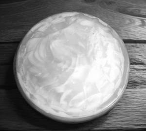 Vanilla Pudding Cupcake