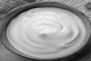 Plain Curd