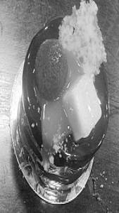Mango Decadence Mousse