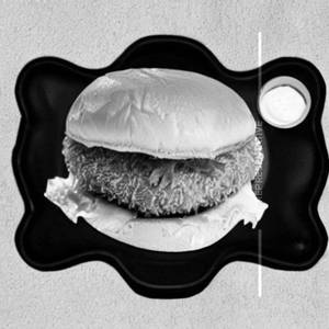 Crispy fish burger