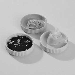 Sushi Condiments