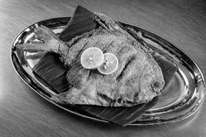 Pomfret Fry
