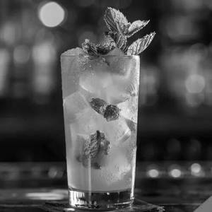 Watermelon Mojito