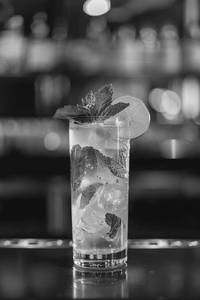 Vanilla Mojito