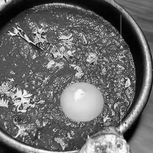 Sultani Egg